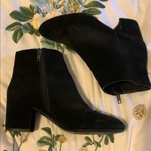 Suede Steve Madden Booties